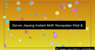 server jepang instant aktif