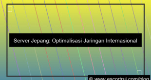 server jepang jaringan internasional