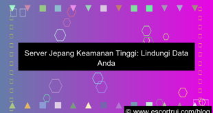 server jepang keamanan tinggi