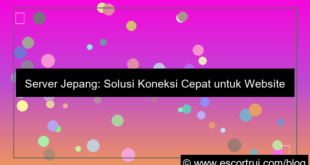 visual server jepang koneksi cepat