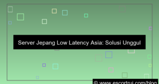 server jepang low latency asia