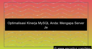 ilustrasi server jepang mysql