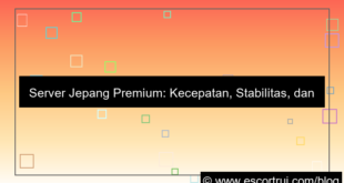 gambar server jepang premium