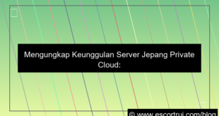 ilustrasi server jepang private cloud