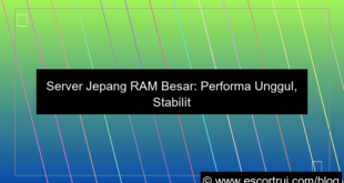 server jepang ram besar
