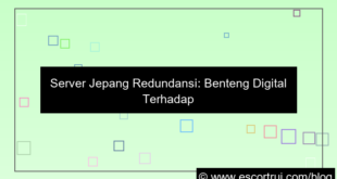server jepang redundancy