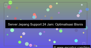 server jepang support 24 jam