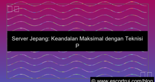 grafik server jepang teknisi profesional