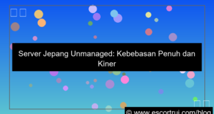 server jepang unmanaged