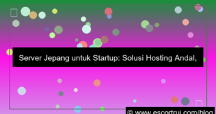 server jepang untuk startup