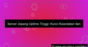 visual server jepang uptime tinggi