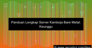 grafik server kamboja bare metal