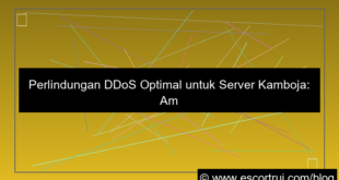 server kamboja ddos protection