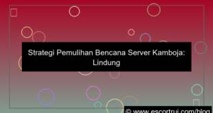 gambar server kamboja disaster recovery