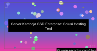 ilustrasi server kamboja ssd enterprise