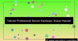 grafik server kamboja teknisi profesional