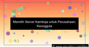 ilustrasi server kamboja untuk perusahaan