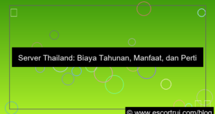 grafik server thailand biaya tahunan