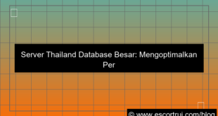 server thailand database besar