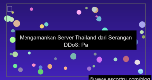 server thailand ddos protection