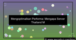gambar server thailand multi core
