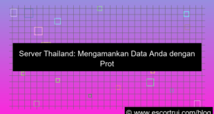 server thailand proteksi data