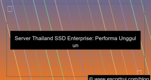 visual server thailand ssd enterprise