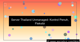 server thailand unmanaged