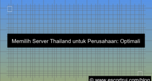 visual server thailand untuk perusahaan