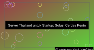 visual server thailand untuk startup