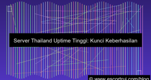 gambar server thailand uptime tinggi
